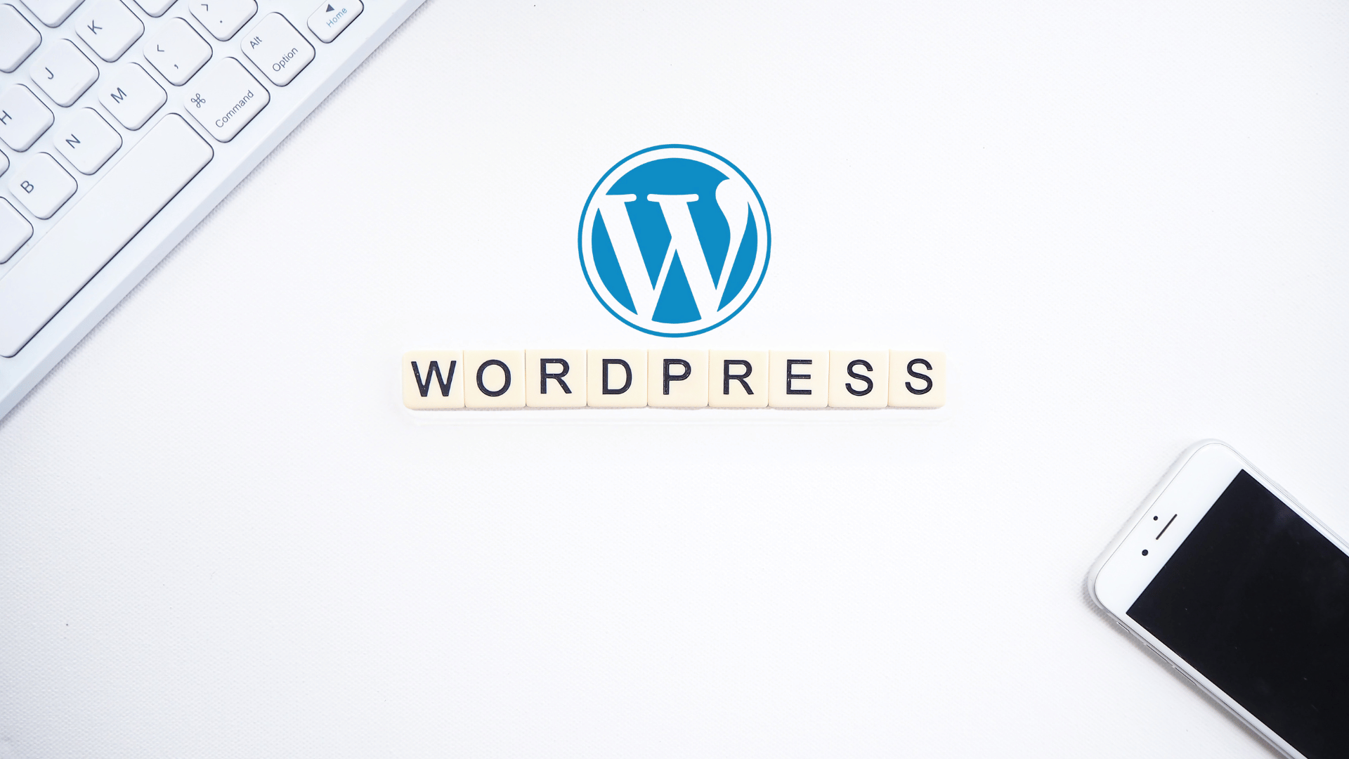 WordPress Guide 2025 Banner